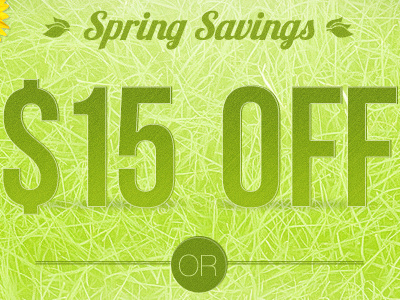 Spring Savings Promo email promotion spring