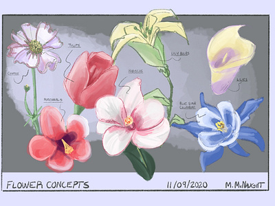 Flower Concepts