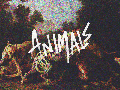 Animals animals art design hand lettering handwritten lettering