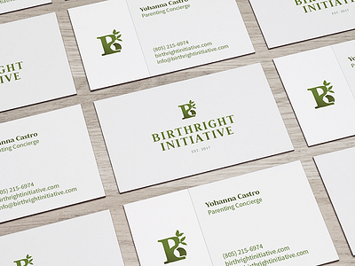 Getting busy with business cards for Birthright Initiative brand branding business cards collateral design lettermark logo mark