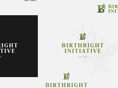 A Birthright to be branded brand branding design lettermark logo logodesign logomark logowork mark monogram