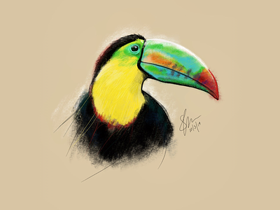 Toucan do it! applepencil digitalart drawing illustration ipadpro toucan