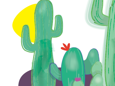 Cactus cactus colors illustration