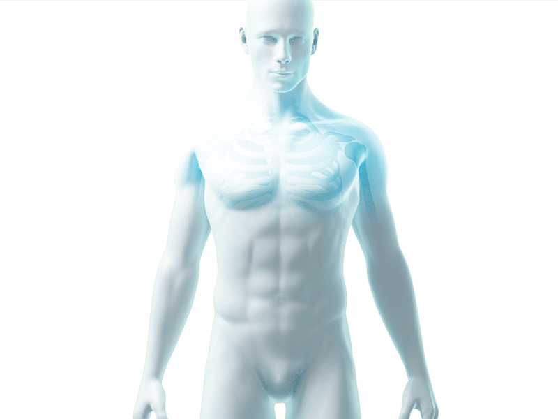 Male Body X-ray Closeup animation body health healthtap human male skeleton xray