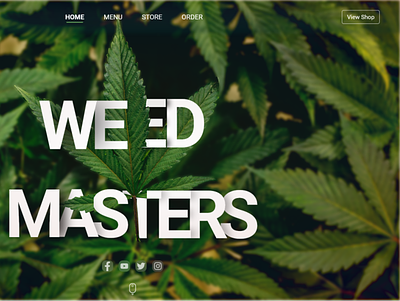 Weed Masters Web Design adobe illustrator adobexd app design ecommerce app illustration