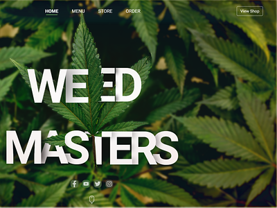 Weed Masters Web Design