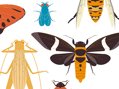 Insect Print Series 2