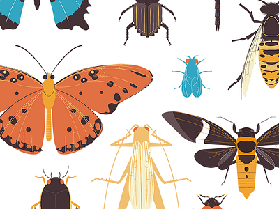 Insect Print Series 2 beetle bugs butterfly design entomology grasshopper illustration insect print vector wasp wings