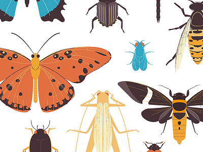 Insect Print Series 2