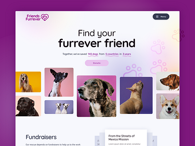 Dog Rescue Landing Page Concept charity dog landing rescue ui web website