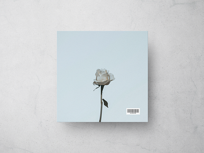 Flower| Single Cover| Minimalist Music Cover| Vinyl album album art album artwork album cover album cover art album covers albumartwork albumcover albumcoverart artwork cd coverart coverdesign design digitalart graphicdesign mixtapecover recordcollection singlecove vinyl