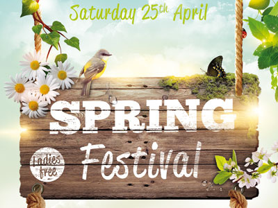 Spring Party Flyer break festival green nature new outside parties party poster spring spring party springtime