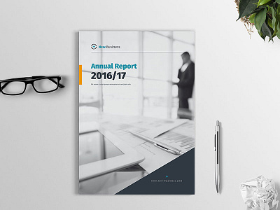 Annual Report 2017 annual report din a4 financial history indesign infographic informal market trends report template us letter