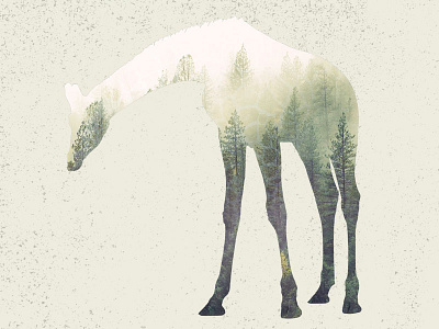 Giraffe Double Exposure