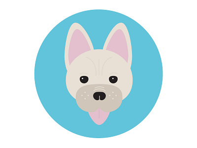 Munchy the Frenchie bully dog flat flat design french bulldorg frenchie icon puppy