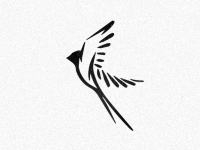 Volatus bird creative logo evolvered flight flying illustration latin logo design boston negativespace wings лого логотип