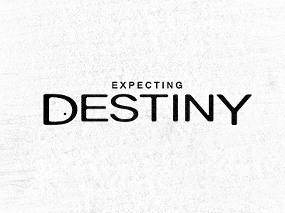 "Expecting Destiny" Maternity Store Logo