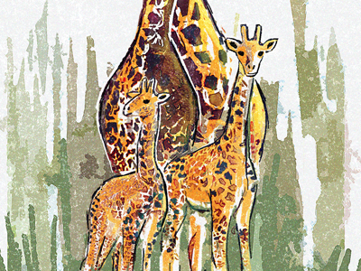 Giraffes Fam drawing evolvered giraffe giraffes illustration photoshop watercolor