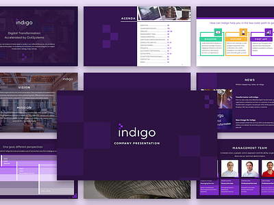 Indigo Company Profile Preview