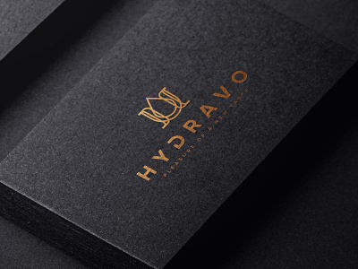 HYDRAVO Logo Design branding design flat icon illustration illustrator logo minimal typography vector