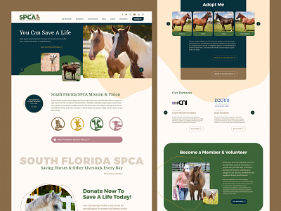 South Florida SPCA - website animals blobs design horses non profit spca ui ux web design