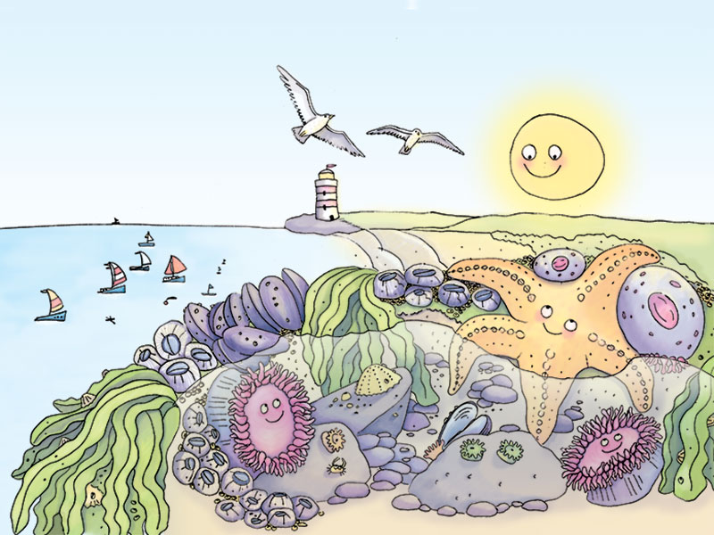 Happy tide pool by Lucy ReadingIkkanda on Dribbble