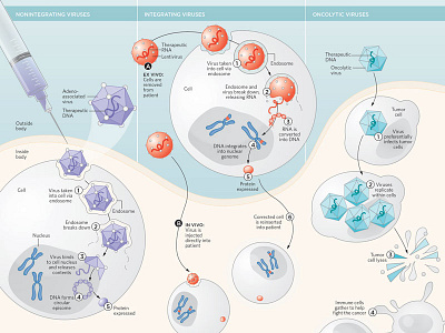 Gene therapy infographic genes infographic science