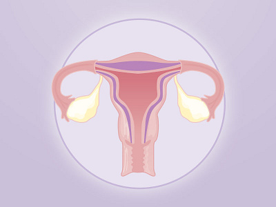 Womb illustration science womb
