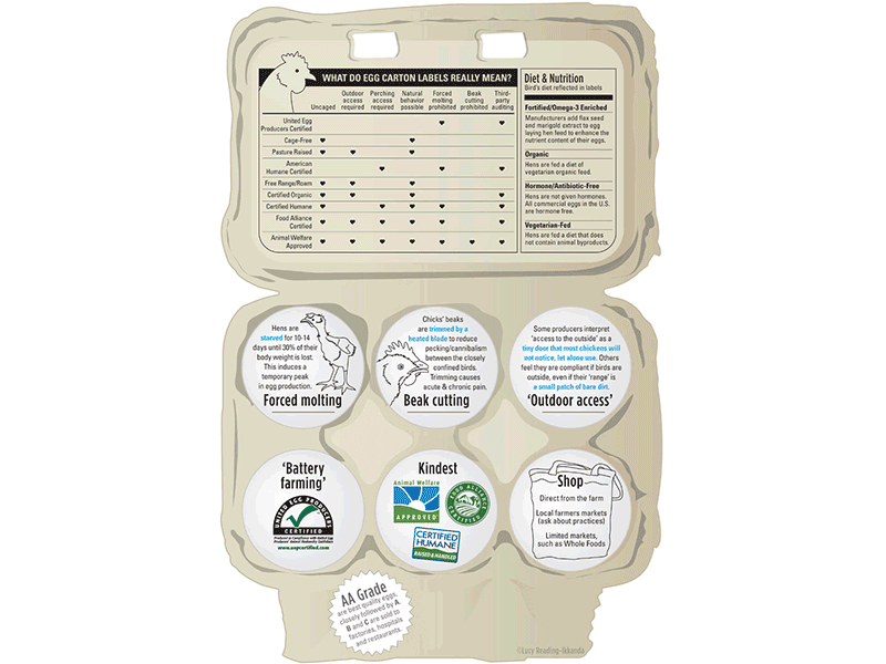 Kind-er eggs: What to egg carton labels really mean? animal welfare eggs infographic