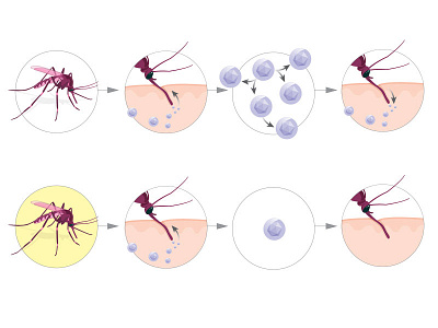 Immunize the mosquitoes 1