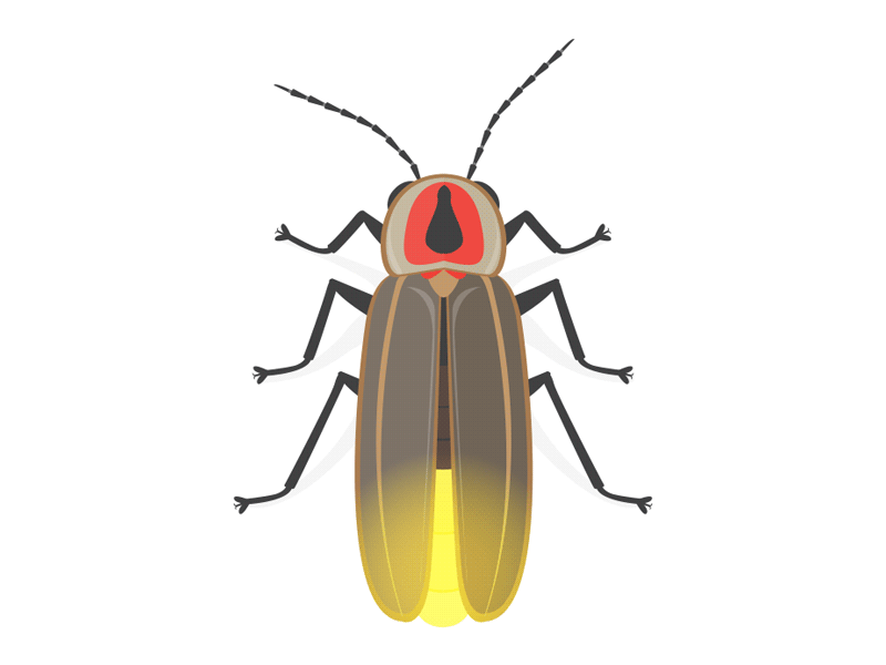FireFly antenna bug firefly gif glow