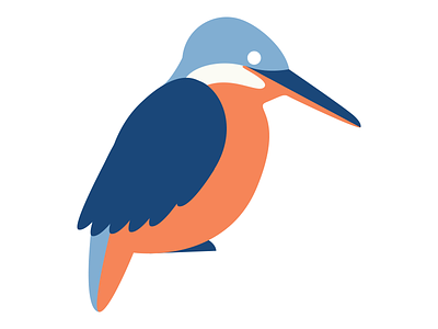 Cecil bird color colorwheel colour eyedropper graphicdesigner illustrator kingfisher palette vector