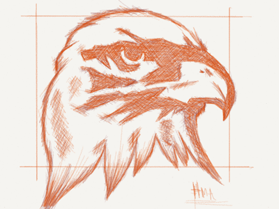 Eagle Sketch adonit drawing dribbble fiftythree illustration ink ipad marker paper pencil sketch sketchbook