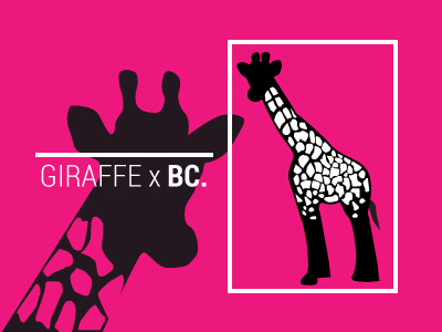 Giraffe animal animal illustrations bright contemporary exciting giraffe illustration illustrations informational loud minimal pink