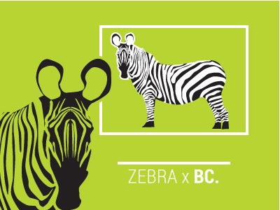 Zebra x BC animal animal illustrations bright contemporary exciting green illustration illustrations informational loud minimal zebra