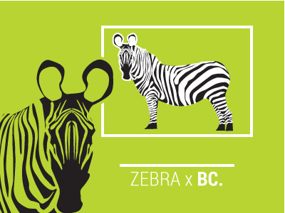 Zebra x BC