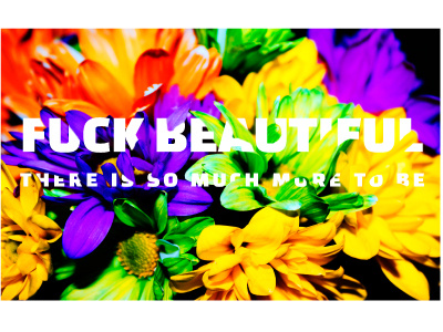 Fuck Beauty brand branding colorful daisy flower flowers graphic design identity photo photoshop type typography