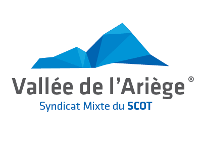Vallée de l'Ariège logotype identity logo logotype mountain polygonal triangle