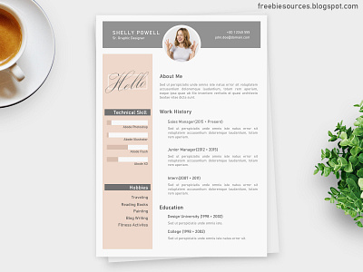 Professional Resume Design Simple PSD Download