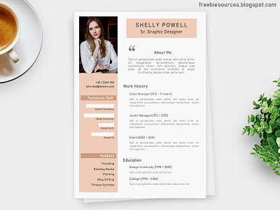 Professional Resume Design Simple PSD Download Female cv design cv template design graphic design psd download psd mockup psd template resume design resume psd download resume template