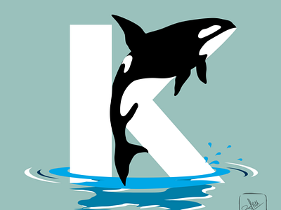 Killer Whale illustration