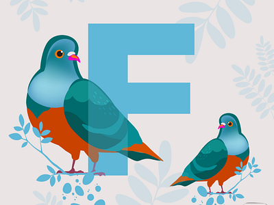 Fruit Doves illustration