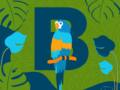 Blue Throated Mascaw illustration