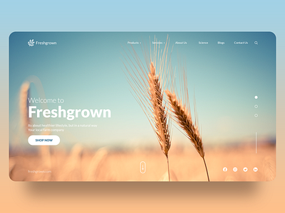Welcome to Freshgrown!