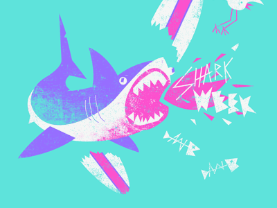 Shark Week great white skark jaws shark shark week surfboard wipeout