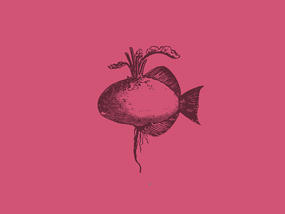 Turnip Fish