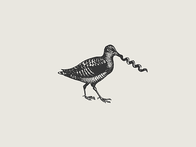 Corkscrew Bird