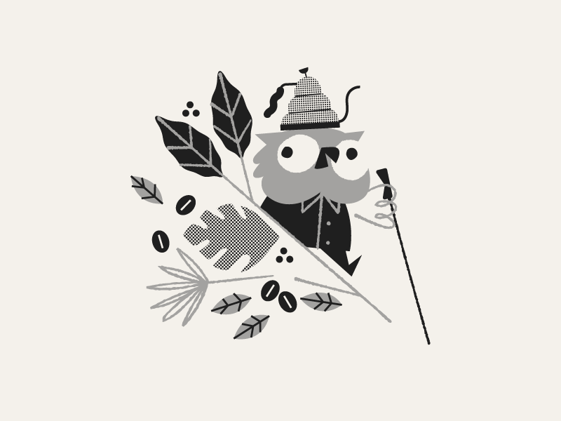 The Bean Buyer brushes no thanks leaves tropical hario hiking coffee beans coffee owl