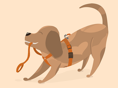 Let’s walk! animal design dog illustration pet postcard procreate