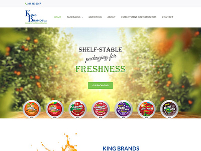 King Brands custom website design design responsive design responsive website responsive website design ui ux website wordpress design wordpress development